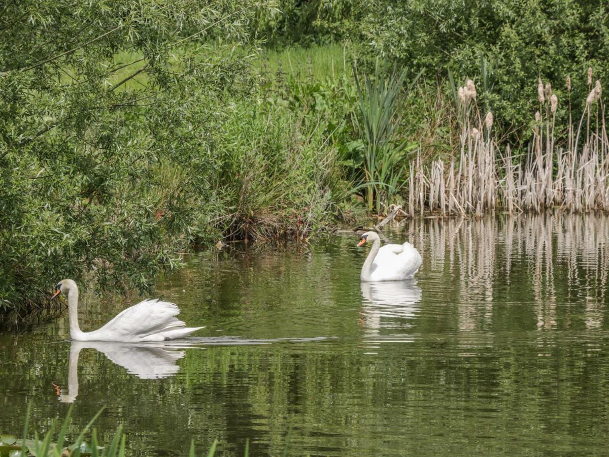 Willow Lodge Brough  Luaran gambar